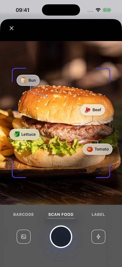 MacroUp camera showing an example food scan